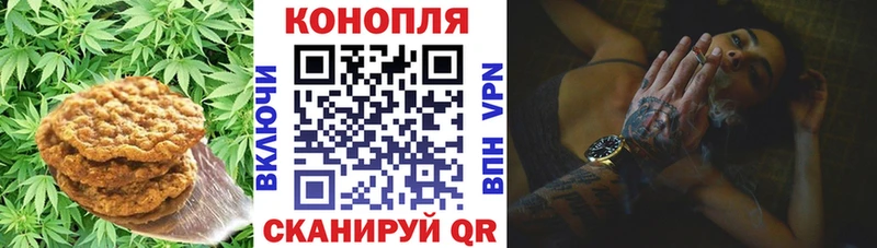 hydra tor где найти наркотики Жиздра Еда ТГК марихуана