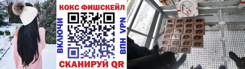 КОКАИН 97%  цены наркотик  Жиздра 