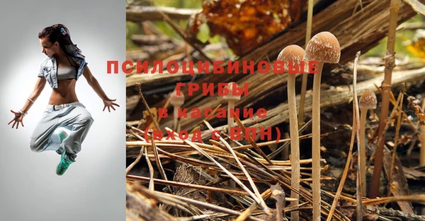 марки nbome Алексеевка