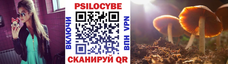 Псилоцибиновые грибы мицелий  цены наркотик  Жиздра 