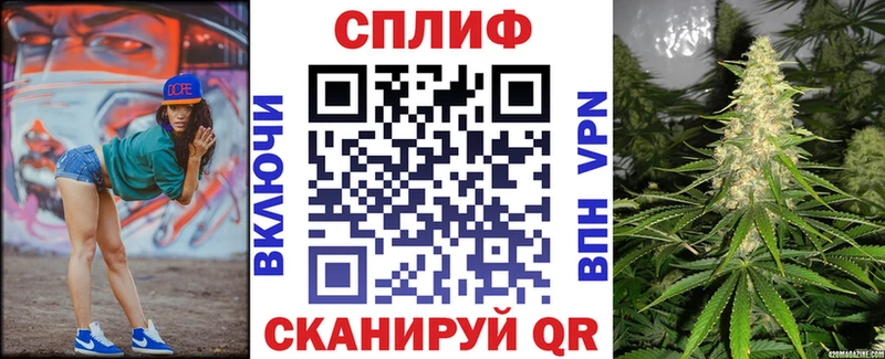 Бошки Шишки Amnesia  Жиздра 